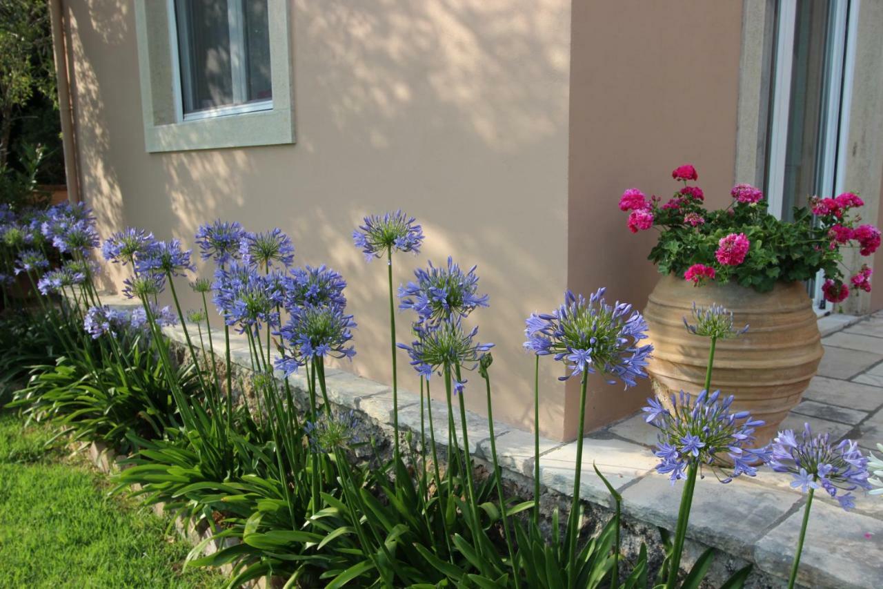 Stone Rose Villa Agios Ioannis  Ngoại thất bức ảnh