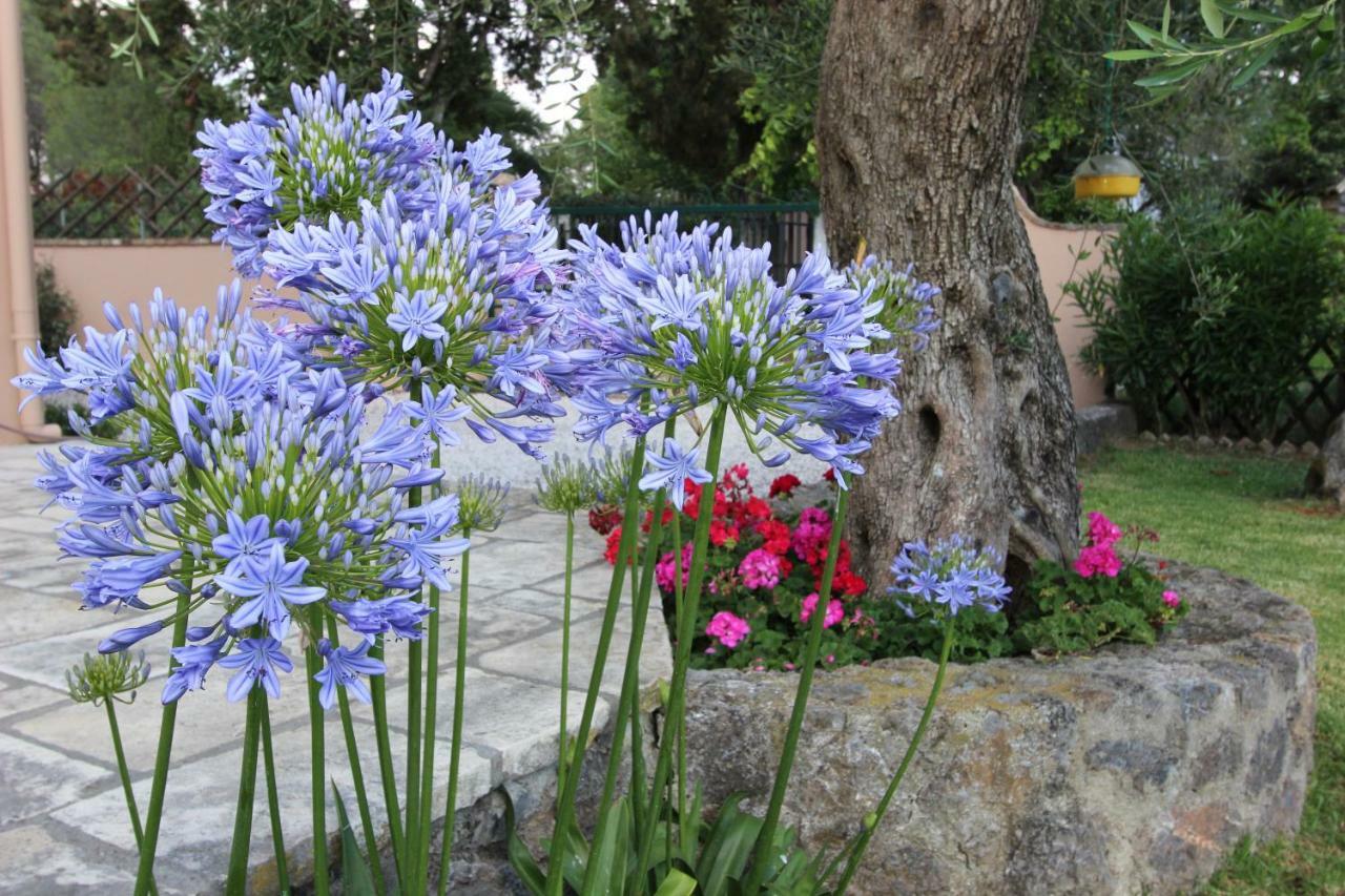 Stone Rose Villa Agios Ioannis  Ngoại thất bức ảnh